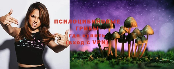 стафф Балабаново