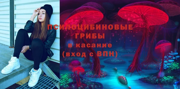 дурь Балахна