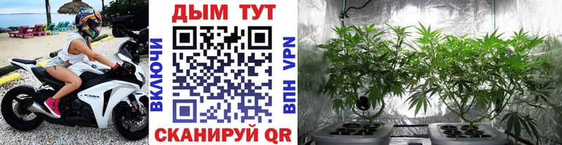ОМГ ОМГ зеркало  Пересвет  МАРИХУАНА план  продажа наркотиков 